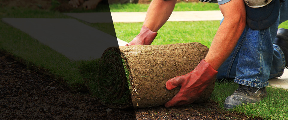 Universal City Landscapers